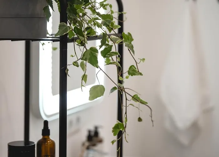 Nooqa - Rheinlofts