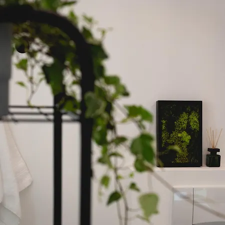 Nooqa - Rheinlofts Кёльн