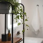 Nooqa - Rheinlofts