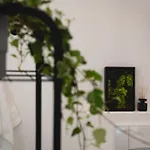 Nooqa - Rheinlofts Cologne