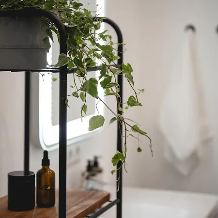 Nooqa - Rheinlofts